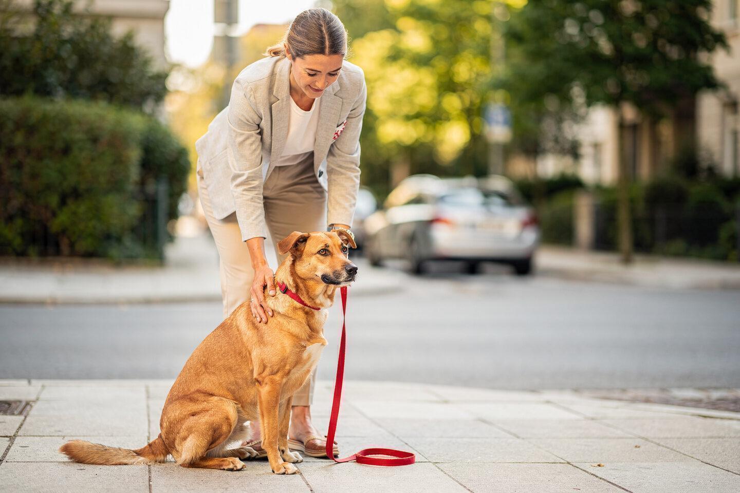 Hundehaftpflichtversicherung – Waldenburger Versicherung AG